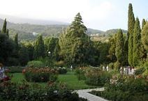 Garden & Outdoor Areas