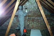 Attics & Crawl Spaces